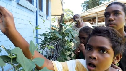 NT's senior AOTY says sense of belonging is essential