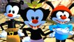 Animaniacs: The Great Edgar Hunt All Cutscenes | Game Movie