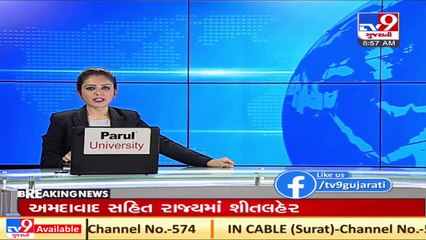 Rajasthan_ Cold wave grips Mount Abu _ TV9News