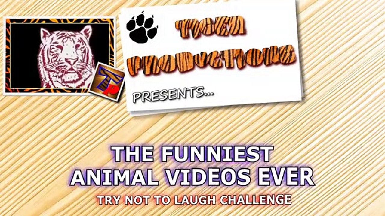 Super HARD TRY NOT TO LAUGH CHALLENGE - Funny ANIMAL compilation