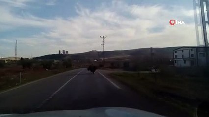 Motosikletle odun ve çalı taşıdı... Tehlikeli anlar kameraya yansıdı