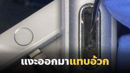 อึ้ง ! รูชาร์จโทรศัพท์ที่เสียบทุกวัน สยองกว่าที่คิด ดูจบรีบทำความสะอาดด่วน