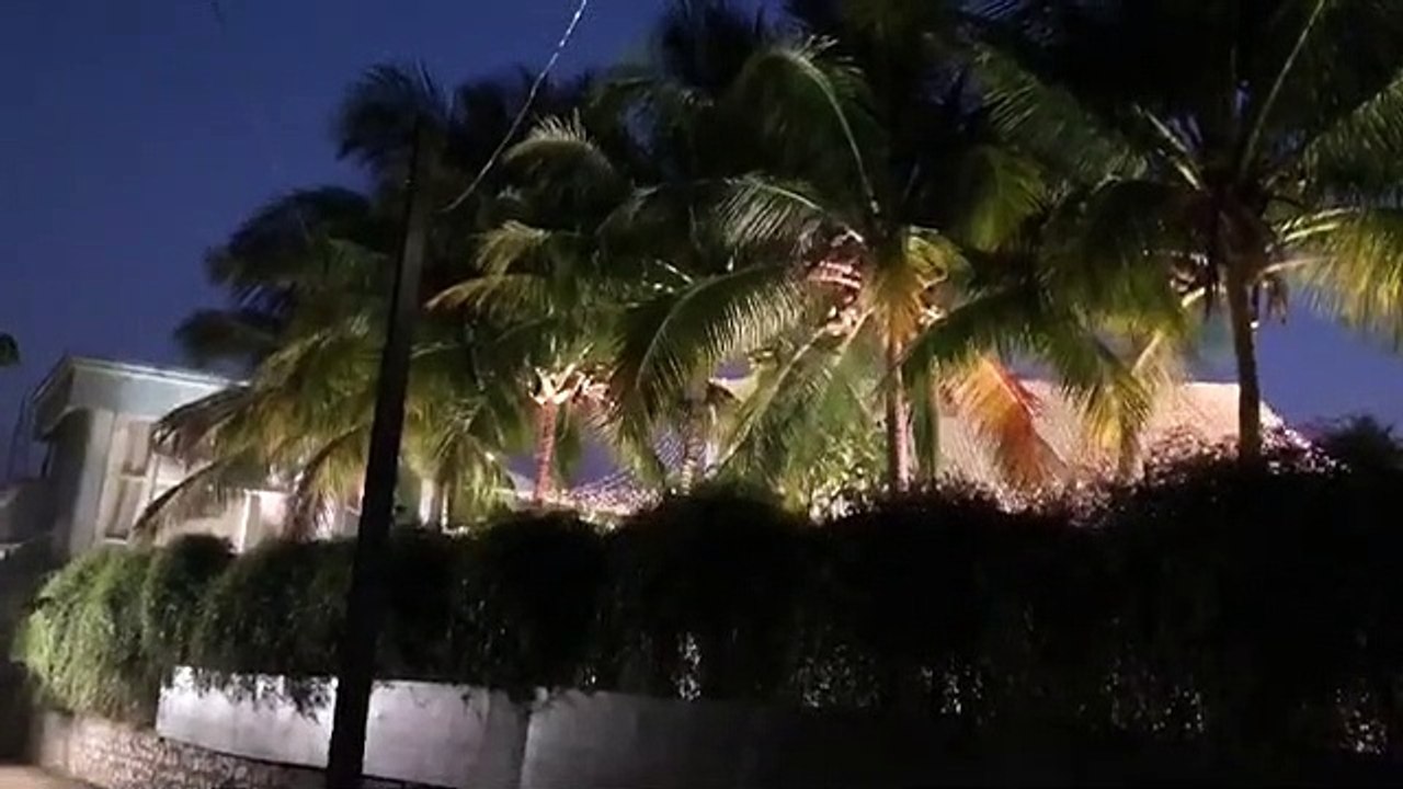 Varun-Natasha Wedding Rituals Begin; Here’s A Glimpse Of The Decoration & Dreamy Lights At The Venue