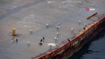 Çanakkale’de, Gelibolu-Lapseki feribot seferlerine fırtına engeli