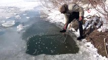 Yüksekova’da buz tutan derede ’eskimo usulü’ balık avı
