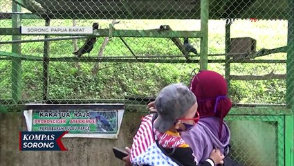 Taman Burung Jadi Tempat Berwisata Dan Belajar