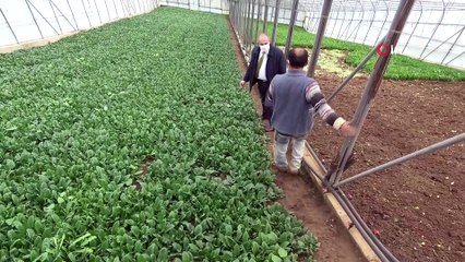 Burada tarım olmaz dediler; onlara inat başardı