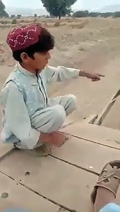 New funny videos