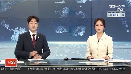 "리얼돌, 풍속 해치지 않아"…법원 수입 허용