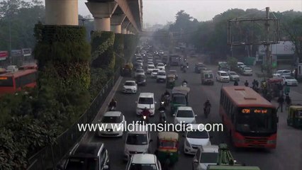Doomsday in Delhi 2021_ - Vehicles 'vanish' in fog and smog during rush hour traffic