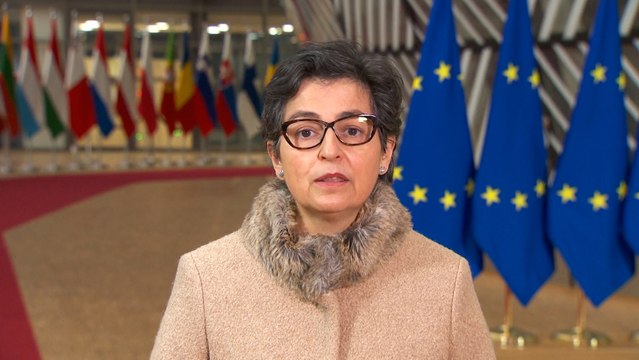 Laya pide la liberación de los detenidos por el caso Navalny