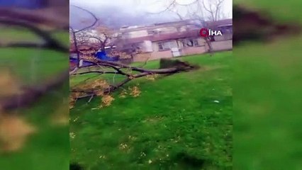 Bursa’da lodos hayatı olumsuz etkiledi