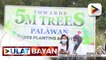 Sec. Harry Roque, pinangunahan ang tree planting sa Palawan; pagkamit sa environmental justice, patuloy