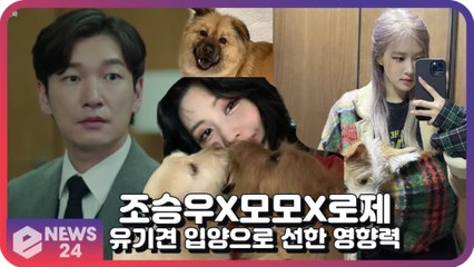 조승우X모모X로제, ‘유기견 입양’으로 선한 영향력 펼치는 스타들 '마음도 훈훈'