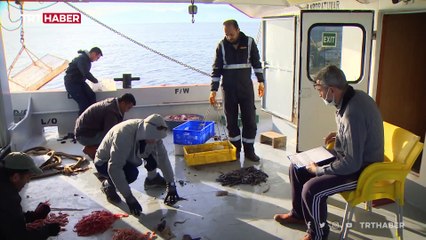 Denizden çamaşır makinesi çıktı