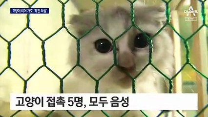 반려묘 이어 반려견까지…코로나19 의심 사례 나와