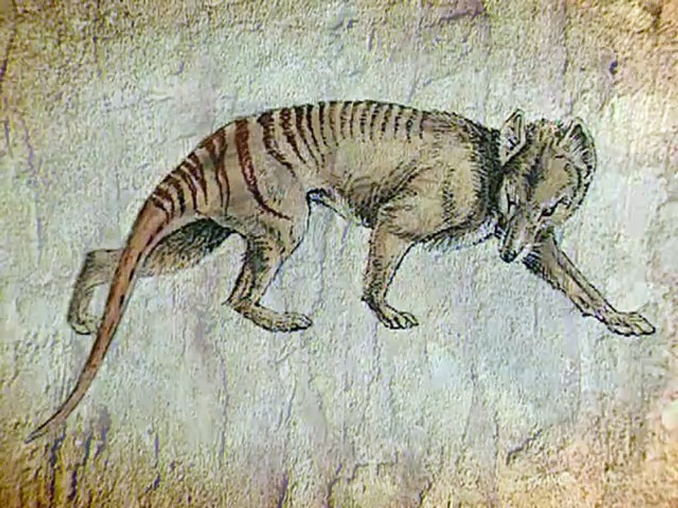Lost animals of the 20th century video dailymotion
