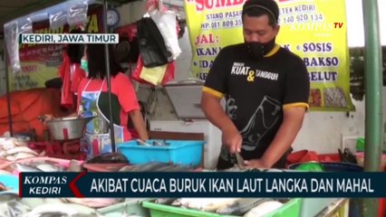 Akibat Cuaca Buruk Ikan Laut Langka dan Mahal