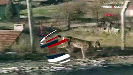 Nesli tehlikede olan vaşak sokakta görüntülendi