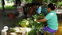 Wallis-et-Futuna - Les pêcheuses à pied