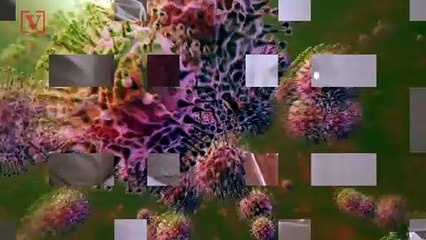 How Common are COVID Fever Symptoms and What To Do