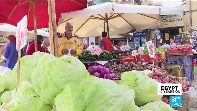 Egypt marks 10 years since uprising, over 30% of population struggles to survive: F24 special report