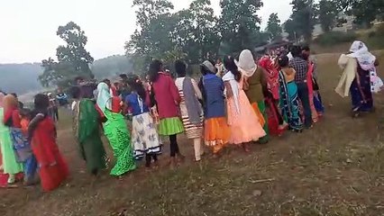 Kodaku Karam nach/आदिवासी  कोड़ाकू करम नाच।