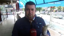 Vedat Milor'un anketi yeni tartışmayı başlattı: Döner mi, hamburger mi?