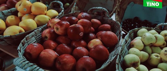 Portugal com Tino - Hino | Vitorino Silva  #TinoDeRans