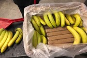 Des cartons de bananes remplies de stupéfiants livrés par erreur dans des épiceries