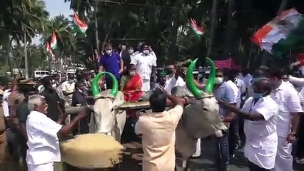 ஜோதிமணி எம்.பி. மாட்டுவண்டி ஓட்ட.. நின்று கொண்டே ராகுல் பயணிக்க.. அடடே.. 'கலகல' கரூர் - வீடியோ