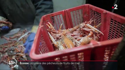 Brexit : le désarroi des pêcheurs écossais, privés du marché européen