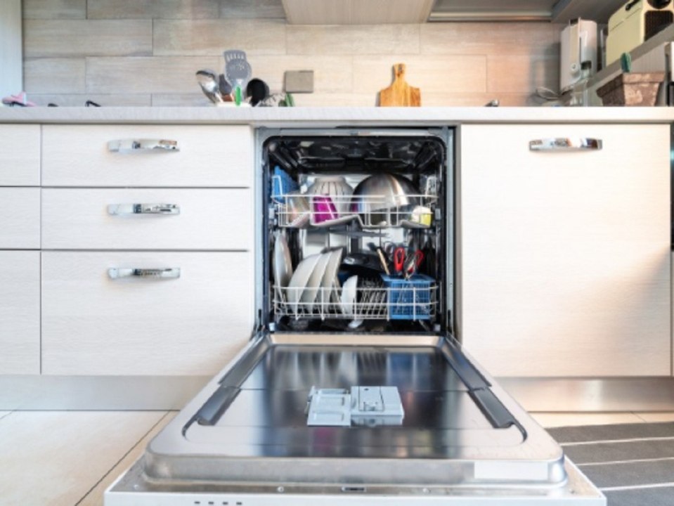 Vorsicht, Schimmelgefahr! So räumst du deine Spülmaschine richtig aus
