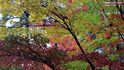 HUZURA DOGRU 20210125