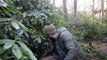 Bushcraft Cook Up in the Snow Steak and Wild Mushrooms on the Wood Stove