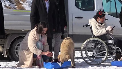 Yemek artıkları ziyan olmuyor, sokak hayvanlarının karnını doyuruyor