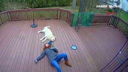 Köpeği yüzünden gülme krizine giren kadın kamerada