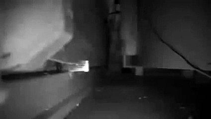 ERIZO ESTORNUDANDO/ HEDGEHOG SNEEZING