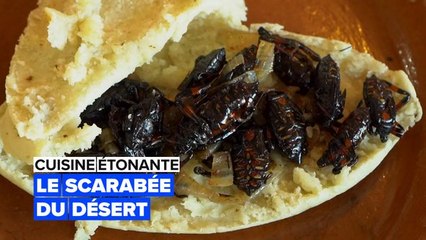 Cuisine étonnante: les scarabées