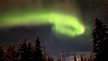 Northern lights hover above Alaska early morning