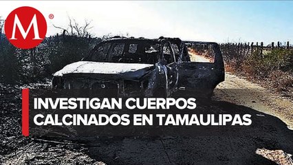 FGR encuentra 19 cuerpos calcinados en Tamaulipas