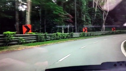 Biker Saves Turtle Crossing the Road