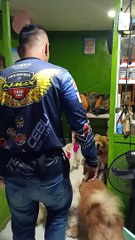 Pet Groomer Coming Home Gives His Dogs Lots of Love