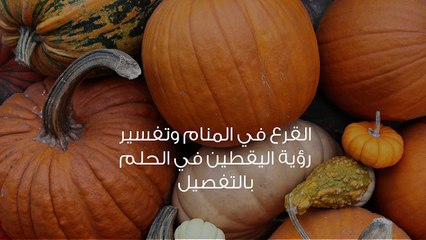 القرع في المنام وتفسير رؤية اليقطين في الحلم بالتفصيل