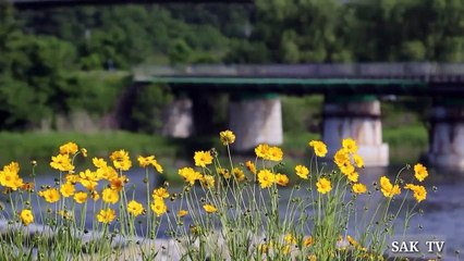 When and Where The Railway Engine Invented __ Documentary _Syed Amin Khan Tv._HD
