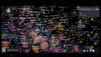 Spacebuds The Podcast Episode 2 - Cannabis Percentages, Vape Pens & Moon Conspiracies