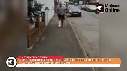 Gastó 400 dólares en descubrir por qué rengueaba su perro y la respuesta sorprendió a todos