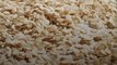 Steel Cut, Rolled, Instant: What's the Difference Between Types of Oats?