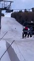 Un skieur roumain est poursuivi par un ours
