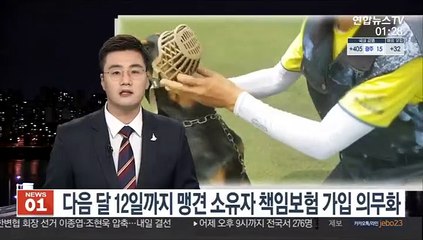 다음달 12일까지 맹견 소유자 책임보험 가입 의무화